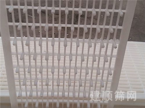 过滤板图片3