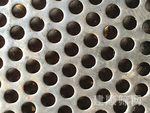 冲孔网图片3
